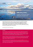 Cover (small) of Policy Brief no 5: Long-term-commitment for climate policy in the Netherlands